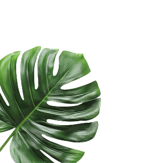 Left Leaf