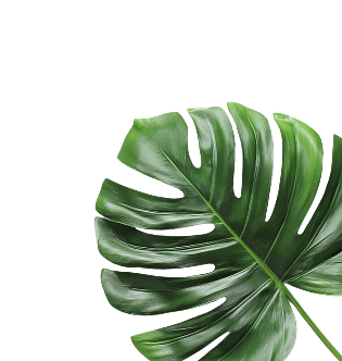 Right Leaf