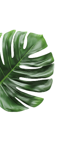 Left Leaf